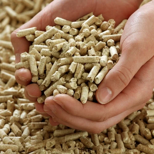 6mm-biomass-pellets-500x500